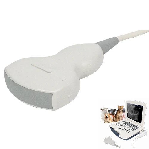 Sonde à ultrasons vétérinaire pour ordinateur portable VU10