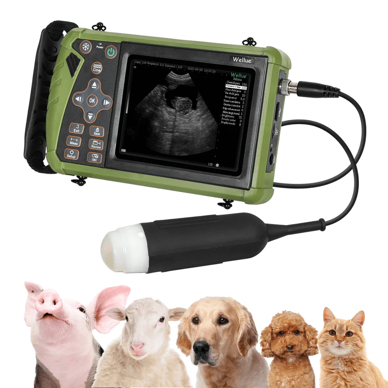 Échographie vétérinaire portable S0