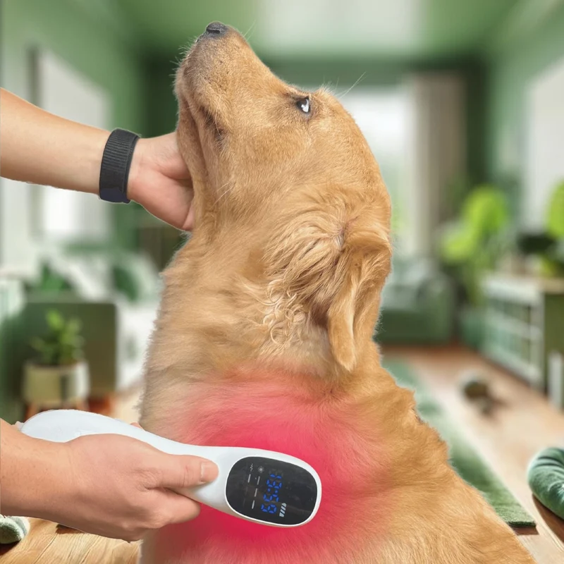 Appareil de thérapie laser à froid pour chiens et chats
