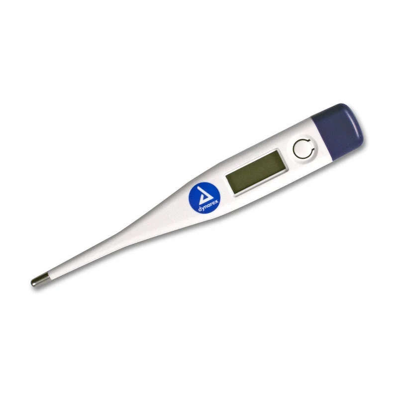 Economy Digital Thermometer
