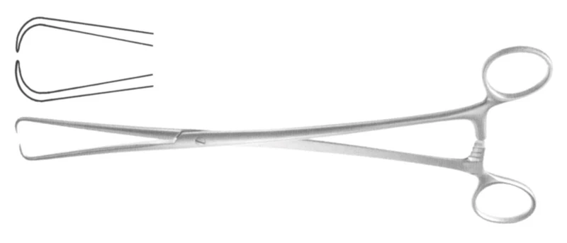 Pince Pozzi-Palmer droite 24 cm Fine