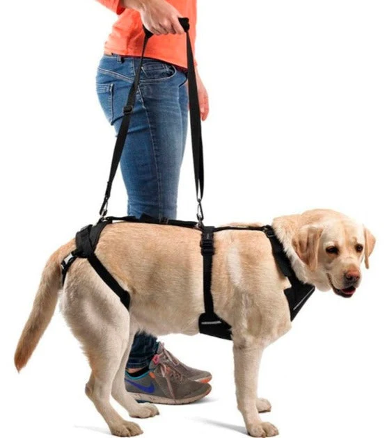 Harnais pour Chien de Soutien Corporel Complet | Par Tailles