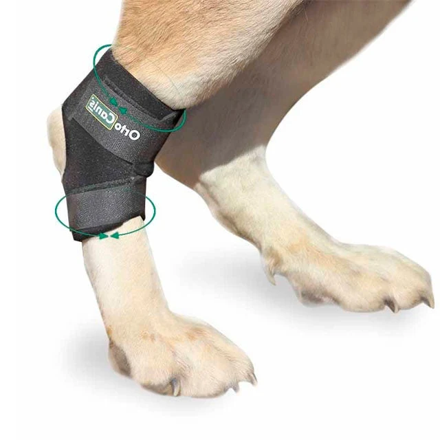 Support de Tarse Adaptable pour Chiens | Par Tailles