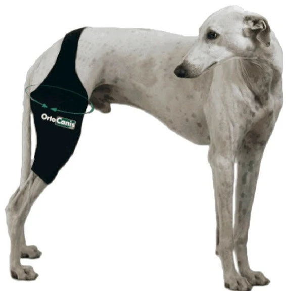 Genouillère pour Chiens avec Bande et Velcro Réglable | Par Tailles