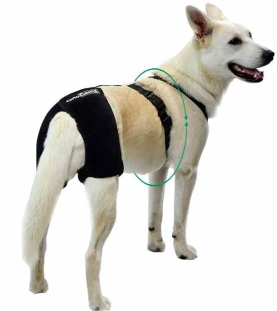 Support de Hanche pour Chiens | Par Tailles