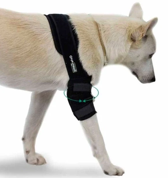 Attelle pour Chien avec Bandes Velcro | Par Tailles