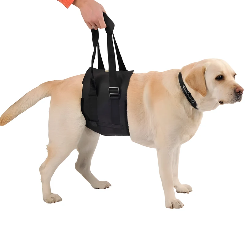 Ceinture de Soutien pour Chiens à Mobilité Réduite | 5 Tailles