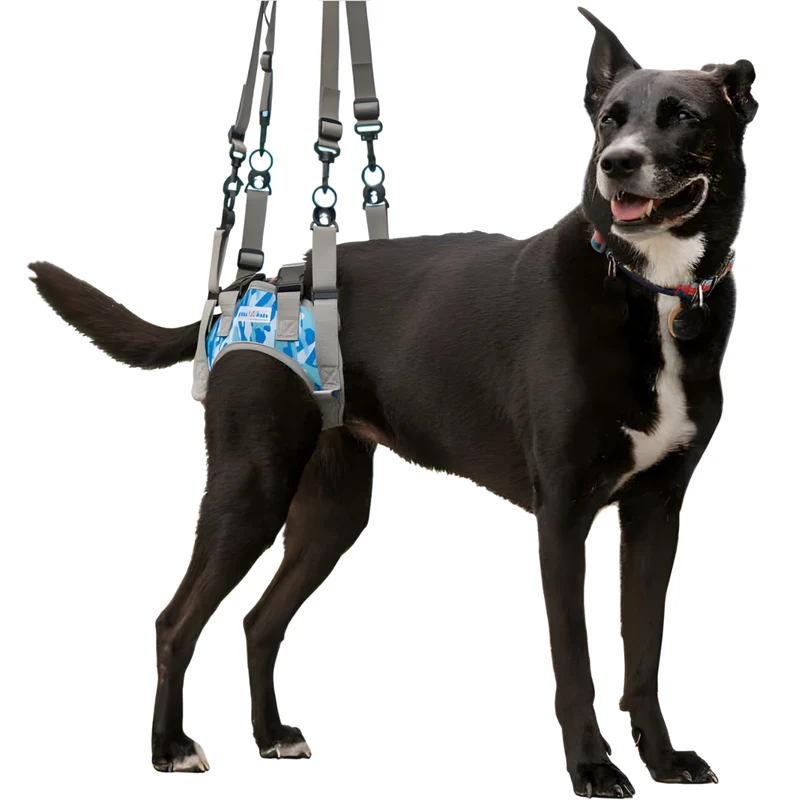 Harnais pour Chiens à Mobilité Réduite des Pattes Arrières