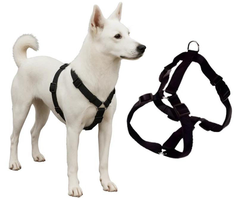 Harnais Canin pour Rééducation Neurologique | 5 Tailles
