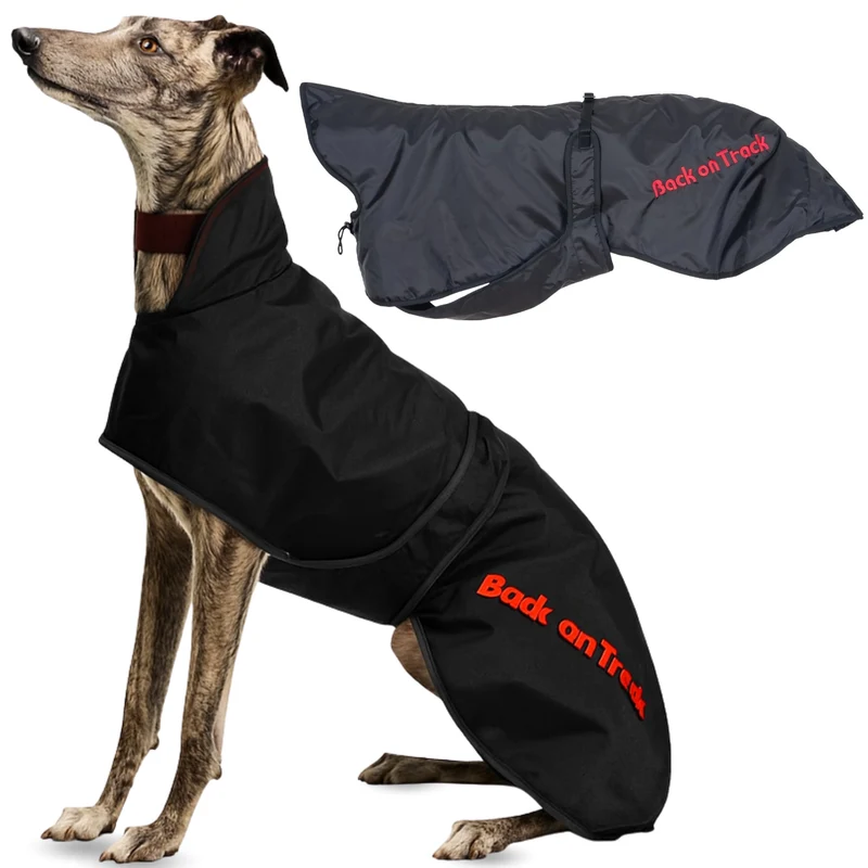 Manteau Thermique Imperméable pour Greyhound | 2 Tailles