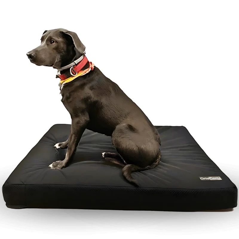 Matelas Viscoélastique Chiens Housse Imperméable | 4 Tailles