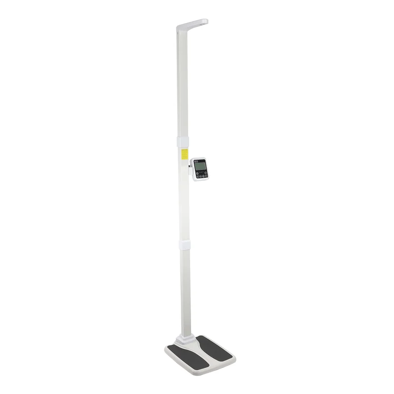 Professional Office Scale