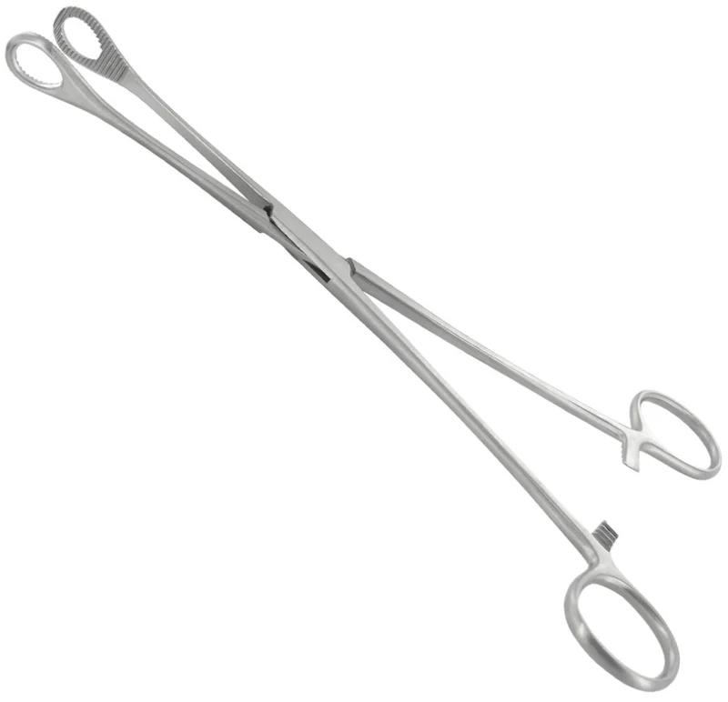 Pince Foerster droite 24 cm